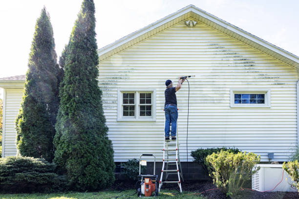 Spring Cleaning in Alpine, UT